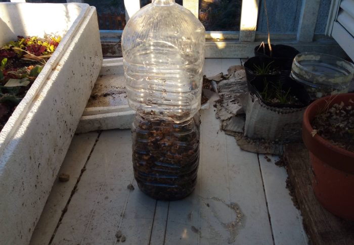 トップバッターは万能葉葱！2022年の種蒔きが始まりました。