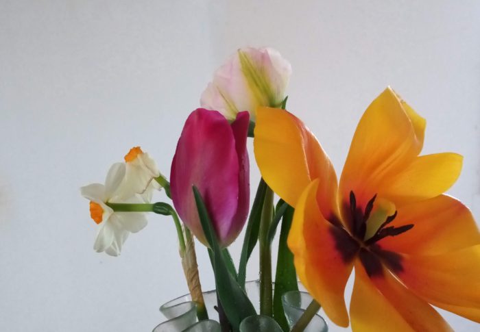 次々と咲くチューリップを花として花瓶に差す事が出来るのは贅沢な事ですね。