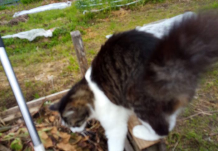 オットト…初めての遊び場だから慎重に、慎重に…ヨイッショッ！、と。