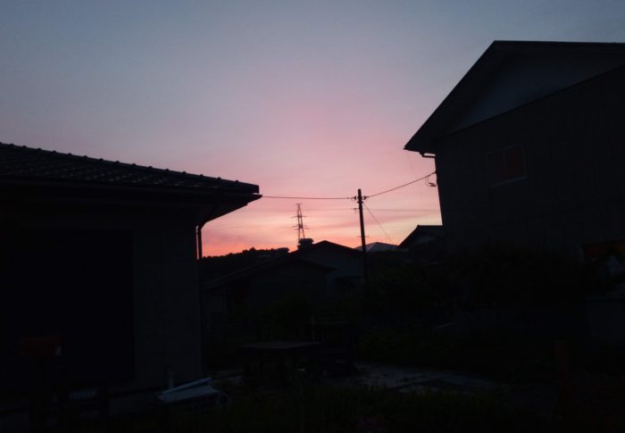 こんな時間帯に朝焼けの写真が撮れるなんて、烏さん達のお蔭で～す！