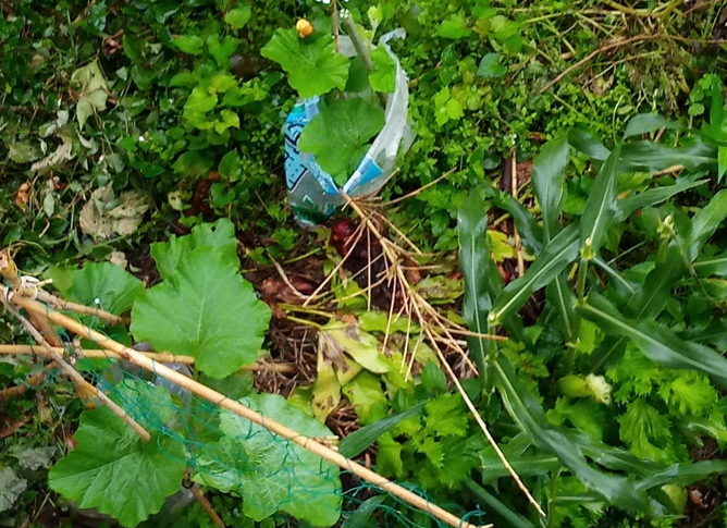 それ行け～！行灯から脱出して、広く明るい世界へ行進だ～♬