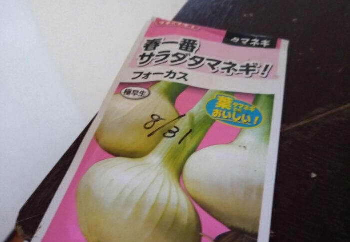 ちょっと遅いんだけど、大丈夫かしら？極早生のみ播種しました。