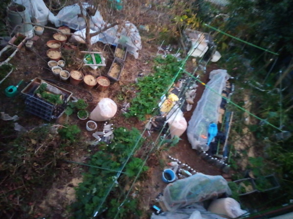 冬庭の配置は７０％位、大まかですが決まりました。