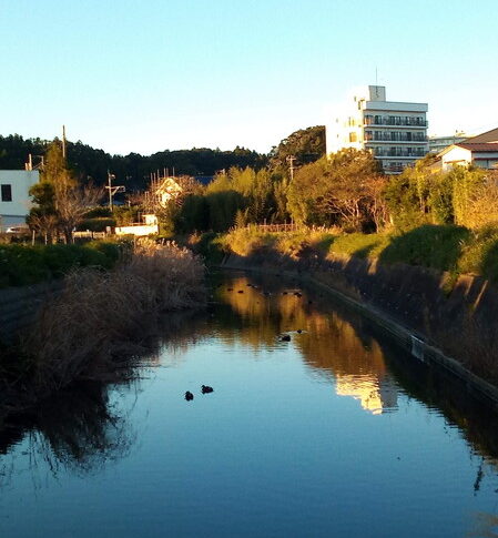 日の入りがまた一分遅くなった…嬉しいなぁ、師走の風景ですねぇ。