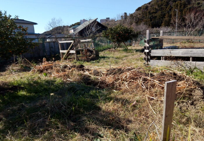 30-40㎏あった土も載せてみると、アラ、結構少なく見えますね。笑