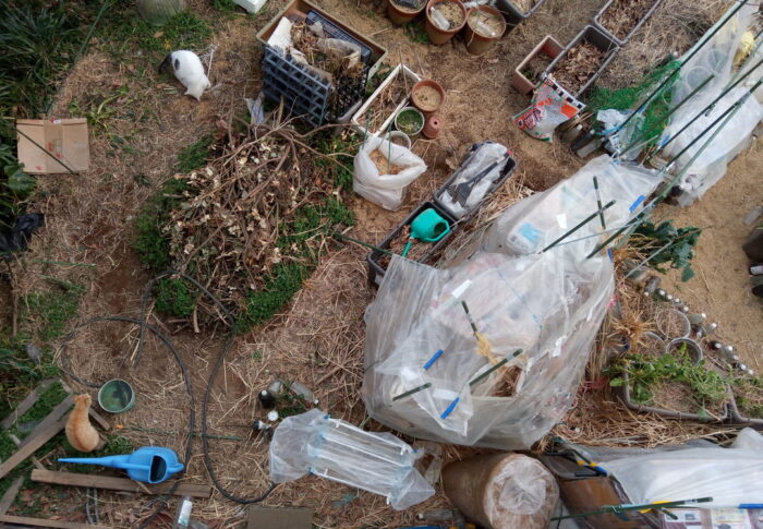 今日の午後から雨の一週間が始まり、昨日は外猫さんのサンルームを整えました。