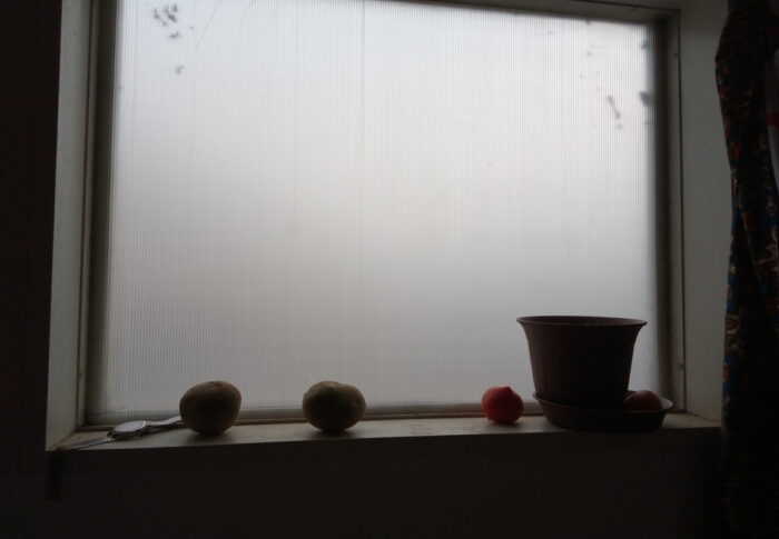 初めてのプラベニですが、ポンと嵌めただけなのに何となく暖かい…。