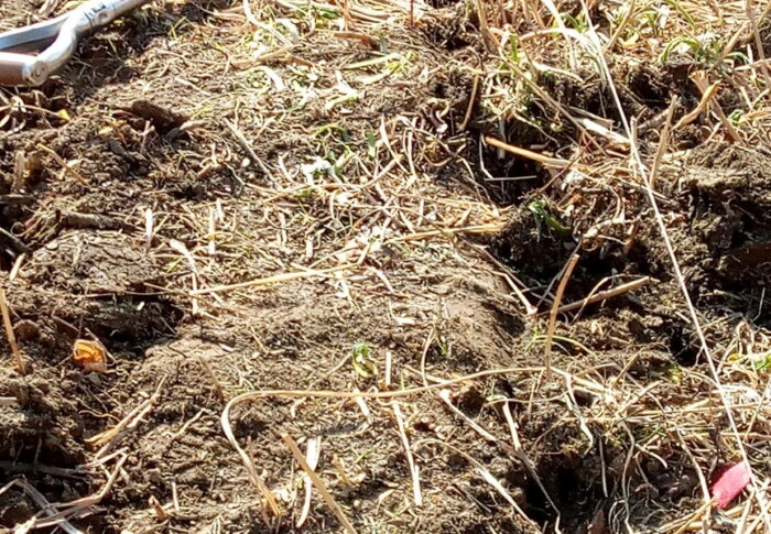 Nさんの畑プロジェクトもようやくスタートしましたが、先は遠～い！