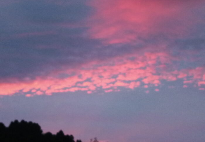 最後に夕焼けらしい夕焼けを見たのは何時だったかなぁ。