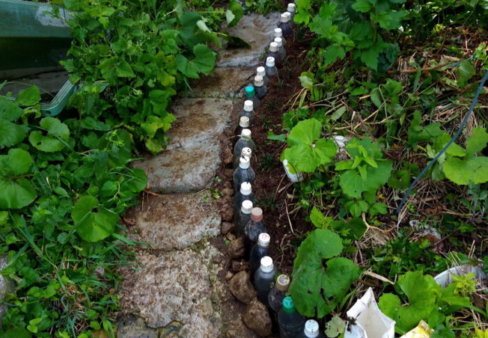 台風の雨で泥が流れる前に白躑躅の脇の土留めを臨時で作りました。