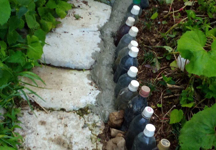 白躑躅脇に捨てコンをしましたが、湿度が高くて未だ固化出来ないでいます。