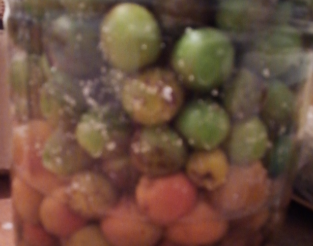 我が家の瓶漬け梅干しが始まりました。緑色の小さめの実が我が家の梅です。