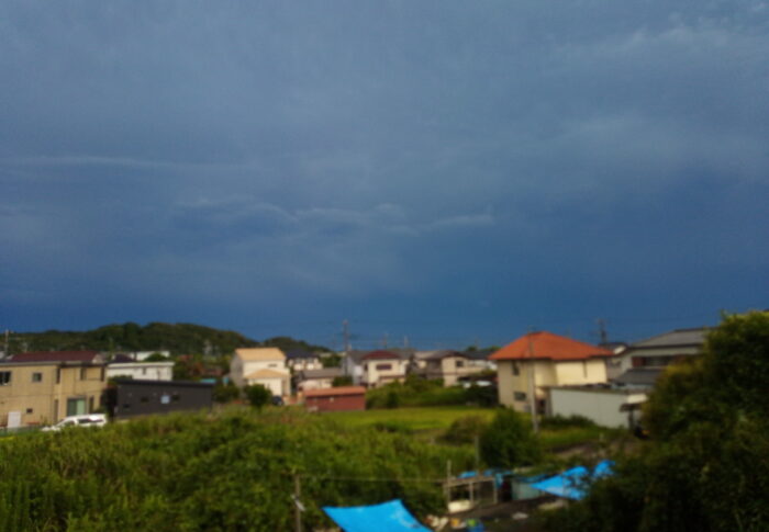 久しぶりの雨で町中が洗われました。氣持ち良い～！風が心地良いです。